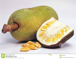 Jackfruit