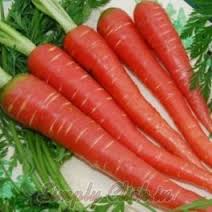 Carrot Red- Gajar Lal