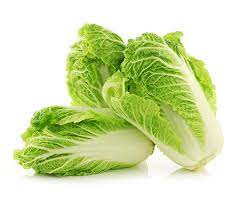 H Chinese Cabbage